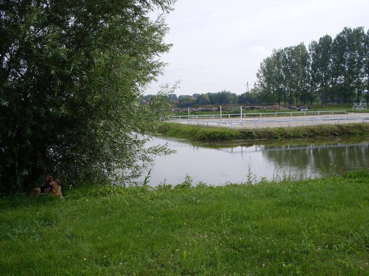 Nagybajcsi Lovaspark Es Otthon Vendeghaz Exterior photo